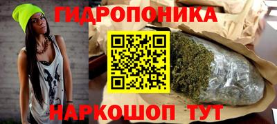 шишки Пенза