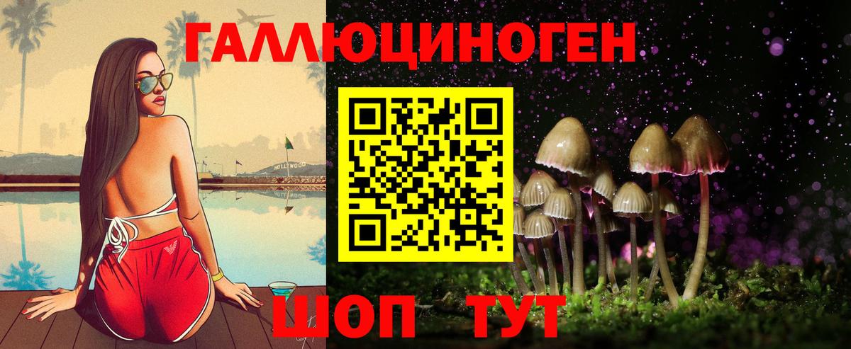 Галлюциногенные грибы MAGIC MUSHROOMS  где купить наркоту  Ступино  Вход с VPN 