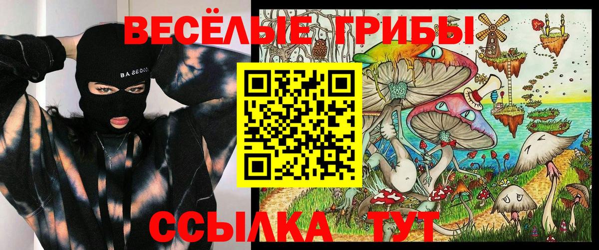 Галлюциногенные грибы прущие грибы Ступино